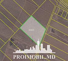 Spre vânzare se oferă teren agricol, situat în or. Ialoveni. ...