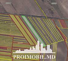 Spre vânzare se oferă teren agricol, situat în com. Băcioi. Suprafața 