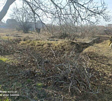 Участок ОСГ 50 соток в с. Нерубайское