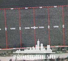 Spre vânzare se oferă teren agricol, situat în com. Colonița. ...