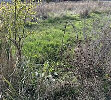 Предлагается к продаже земельный участок под строительство жилого ...