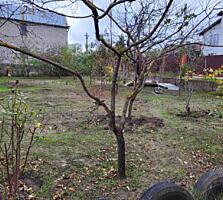 Продам ділянку 6с. садівництво, Нова Долина/Грібний кан, без комісії