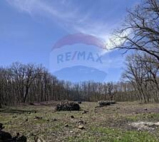 Se vinde vila Zaicani r.Criuleni