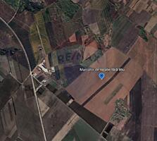 Teren agricol de vânzare la Cruzești