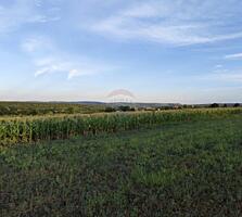 Teren cu destinaţie grădină com. Budești, Mun. Chişinău