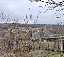 Lot de teren 30 ari, Orhei