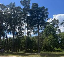 продаж ділянка під житлову забудову Бучанський, Бобриця, 41000 $