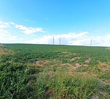 продаж ділянка сільськогосподарського призначення Рівне, Бармаки, 7500