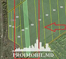 S pre vânzare se oferă teren pentru construcția unei hale, situat în .