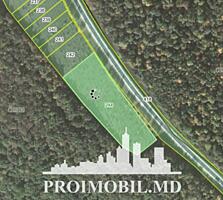 S pre vânzare se oferă teren cu destinație agricolă, situat la prima .