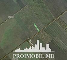 ​ Spre vânzare se oferă teren agricol situat în Colonița. Suprafața ..