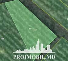 S pre vânzare se oferă teren cu destinație grădină, situat în ...