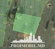 Spre vânzare se oferă teren pomicol, situat în Trușeni.Suprafața ...