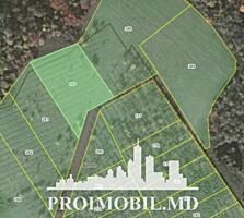 S pre vânzare se oferă teren cu destinație agricolă, situat la prima .