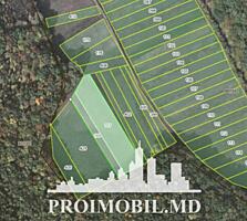 S pre vânzare se oferă teren cu destinație agricolă, situat la prima .