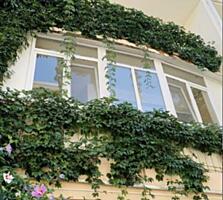 Двухкомнатная квартира в "Добра Родина", Дача Ковалевского