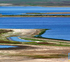 Участок 12 соток на Тилигульском лимане.