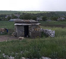 Продам участок в с. Великий Дальник