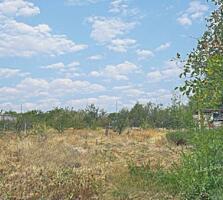 Предлагается к продаже участок 10 соток в поселке Малое-2,на берегу ..