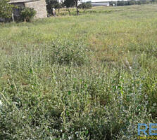 Продается земля сельхоз назначения с. Усатово