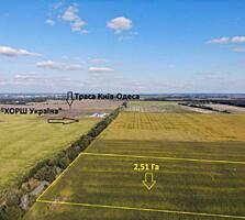 продаж ділянка сільськогосподарського призначення Фастівський, Велика 