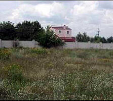 продаж ділянка під житлову забудову Фастівський, Кожухівка, 20000 $