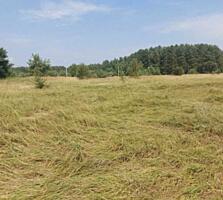 продаж ділянка під житлову забудову Вишгородський, Ясногородка, 7000 $