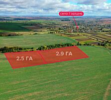 продаж ділянка сільськогосподарського призначення Львів, Новий Розділ,
