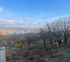 Teren 12 ari, Razeni, Ialoveni