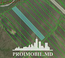 Spre vânzare se oferă teren agricol, situat în r. Ialoveni,sat. ...