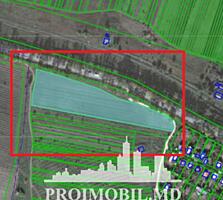 Spre vînzare se oferă teren agricol, situat în r-nul. Srășeni, st. ...