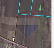 Teren agricol Vadul lui Vodă, Mun. Chișinău