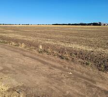 Предлагается к продаже участок правильной формы площадью 8 соток в ...