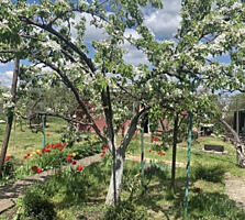 В продаже участок 6 соток, расположенный в очень хорошем месте ...