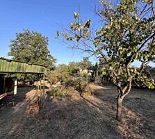 Продаётся участок в Светлом. Улица полностью заселена, дорога ...