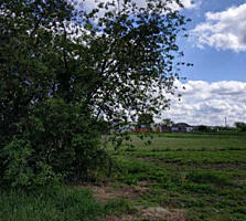 продаж ділянка під житлову забудову Броварський, Русанів, 4000 $