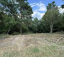 продаж ділянка під житлову забудову Обухівський, Плюти, 137000 $