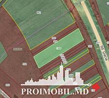 Spre vânzare se oferă teren cu destinație agricolă, situat în ...