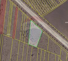 Teren agricol 30 ari Tohatin, Mun. Chișinău