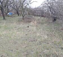 Предлагается к продаж участок 6 соток в дачном кооперативе ...