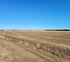 Предлагается к продаже участок правильной формы в перспективном ...