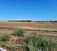 Предлагается к продаже участок правильной формы в перспективном ...