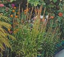 В продаже участок 6 соток ,возле озера!