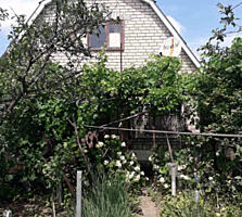 Продам дом-дачу возле моря в пгт Черноморское (15 км от Одессы)