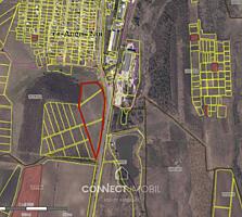 str. Concelierii, Anenii Noi, Moldova