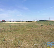 ТВ-3 Продам два смежных участока рядом с Грибовкой