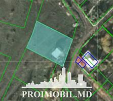 Spre vânzare se oferă 6 terenuri pomicole câte 7 ari fiecare, situate 