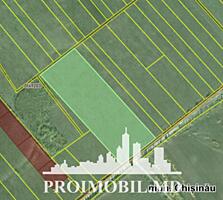 Spre vânzare se oferă oferă teren pentru constucții în sect. Rîșcani, 