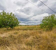 Se oferă spre vânzare teren intravilan pentru construcții locative în 