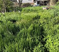 Продается участок 7,3 сот в селе Великий Дальник по Тираспольской ...